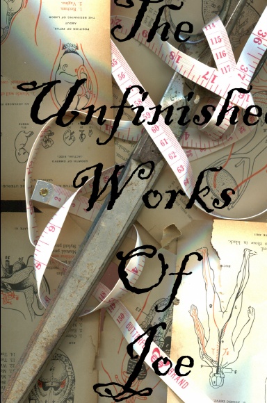Unfinished Stories, Poems, and Thoughts of Joe
