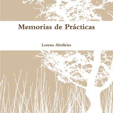 Memorias de Prácticas