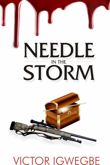 Needle In the Storm