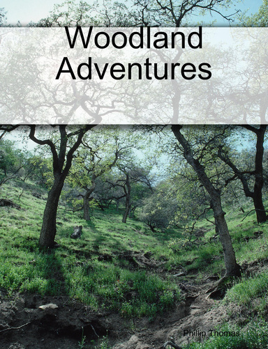 Woodland Adventures