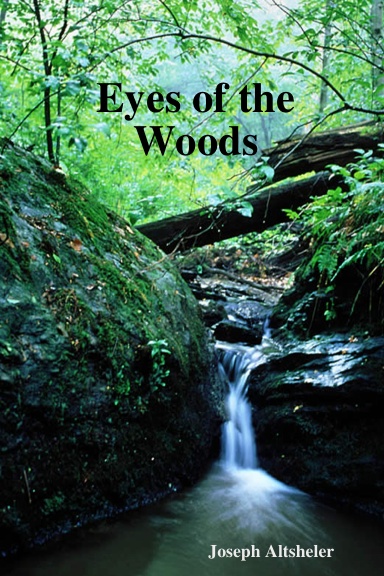 Eyes of the Woods