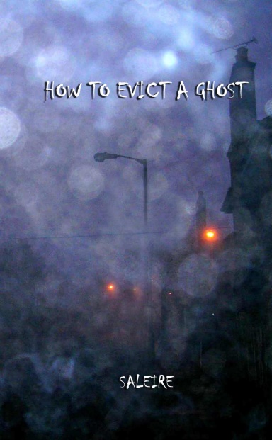 HOW TO EVICT A GHOST