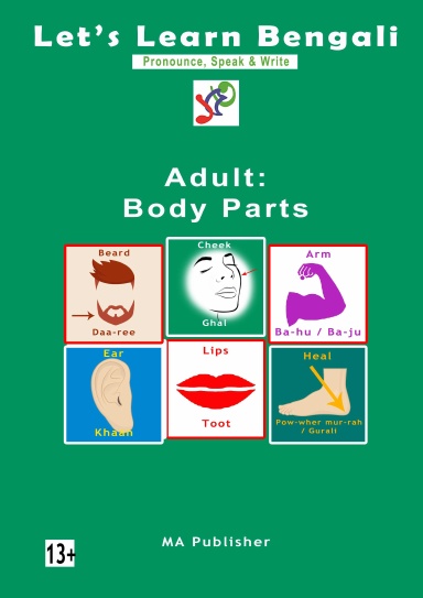 LLB - Body Parts - Adults