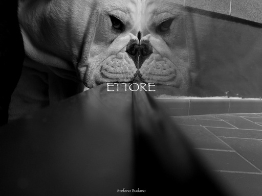 ETTORE
