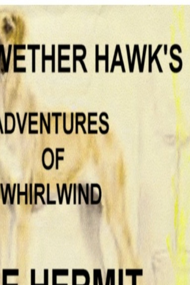 ADVENTURES OF WHIRLWIND "The Hermit"