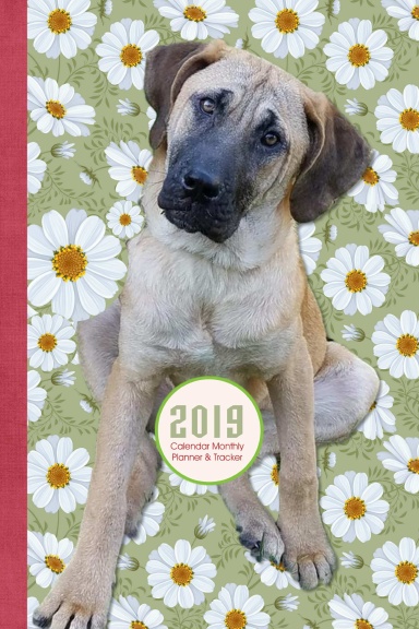 2019 Calendar Monthly Planner VI Daisies - 6 x 9" Black & White Dog Illustrations - Save Korean Dogs