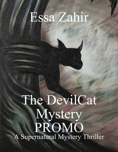 The Devilcat Mystery Promo