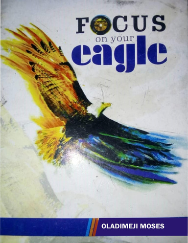 Focus On Your Eagle
