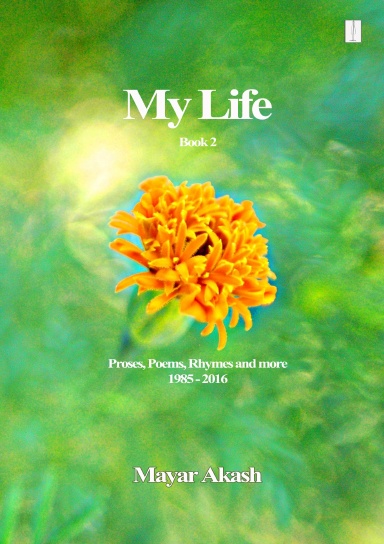 My Life Book 2