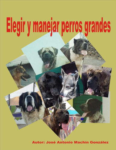 Elegir y manejar perros grandes