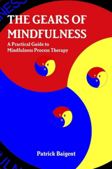 The Gears of Mindfulness: A Practical Guide to Mindfulness Process Therapy