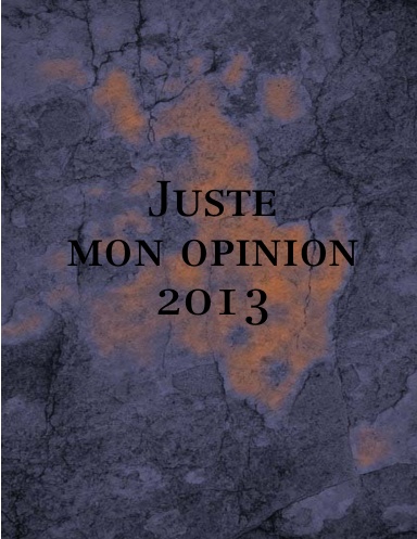 Juste mon opinion 2013