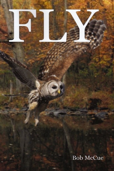 FLY
