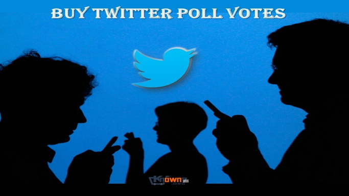 Why Buy Twitter poll Votes fast?