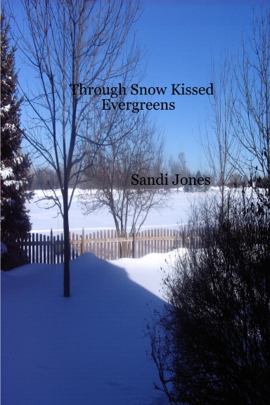 Through Snow Kissed Evergreens