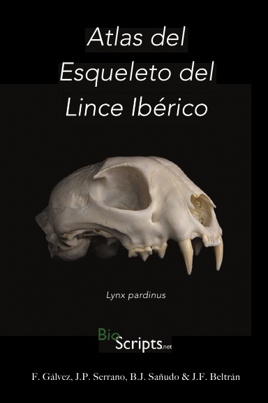 Atlas Digital del Esqueleto del Lince ibérico