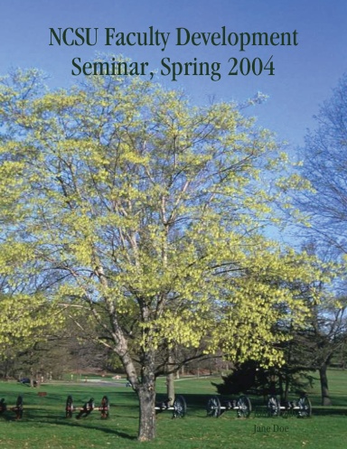 NCSU Faculty Development Seminar, Spring 2004