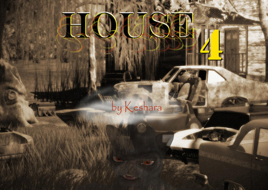 House 4