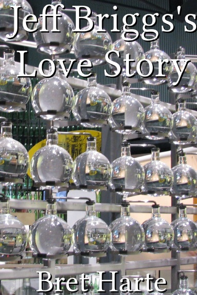 Jeff Briggs's Love Story