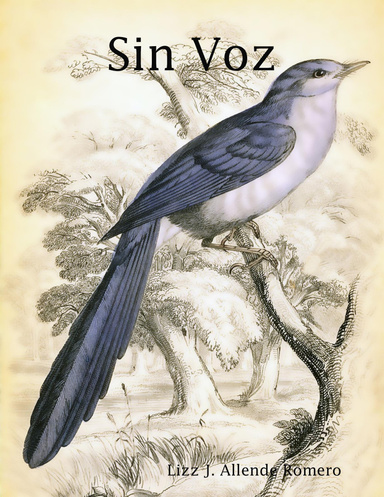 Sin Voz