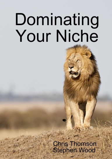 Dominating Your Niche