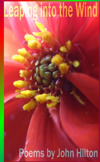 Leaping into the Wind