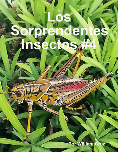 Los Sorprendentes Insectos #4