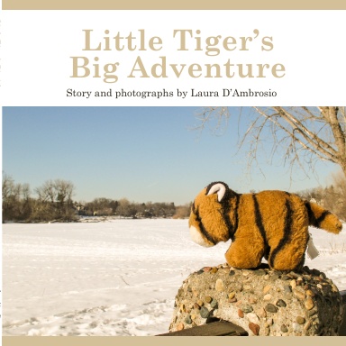 Little Tiger's Big Adventure