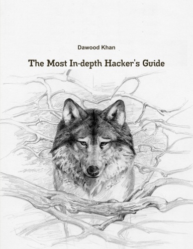 The Most In-depth Hacker's Guide