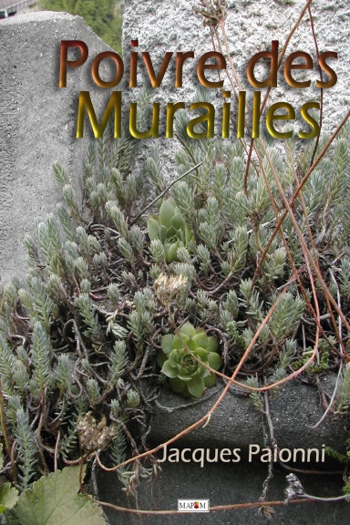Poivre des murailles
