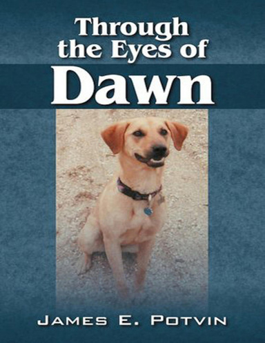 Through the Eyes of Dawn