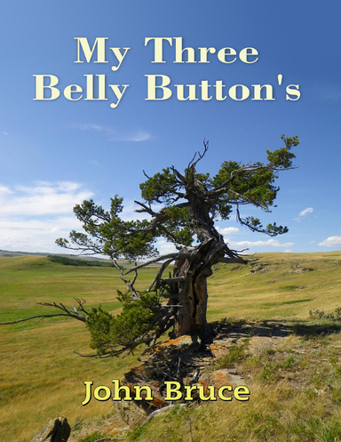 My Three Belly Button's