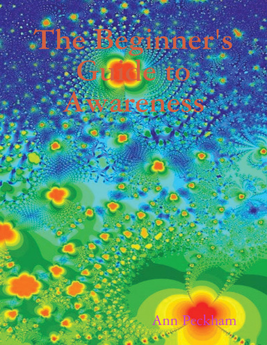 The Beginner's Guide to Awareness