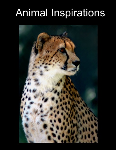 Animal Inspirations