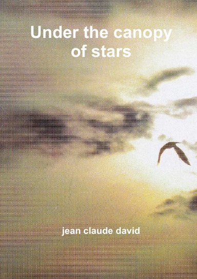 Under the canopy of stars