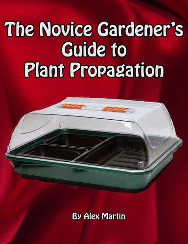 The Novice Gardener's Guide to Plant Propagation