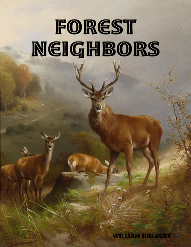 Forest Neighbors