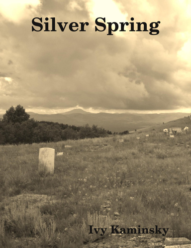 Silver Spring
