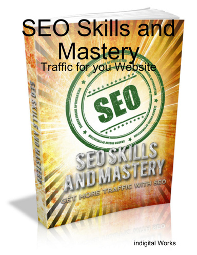 SEO Skills and Mastery: Traffic for you Website