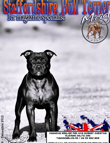 Magazine spécialisé Staffordshire Bull Terrier Décembre 2013 N°8