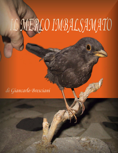 Il merlo imbalsamato