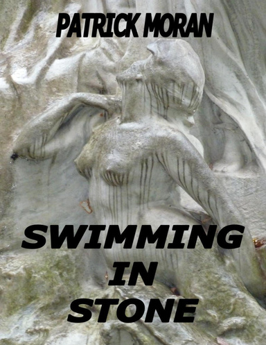 Swimming In Stone