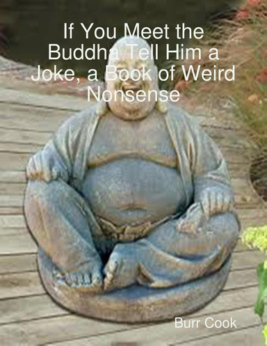 If You Meet the Buddha Tell Him a Joke, a Book of Weird Nonsense