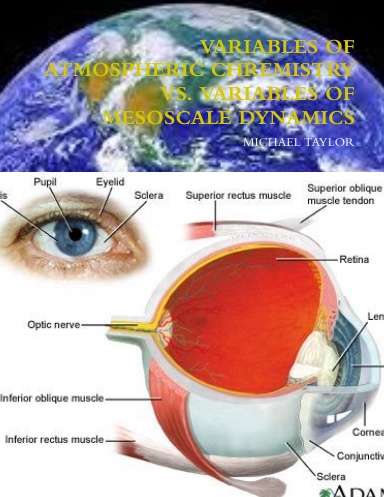VARIABLES OF ATMOSPHERIC CHREMISTRY VS. VARIABLES OF MESOSCALE DYNAMICS