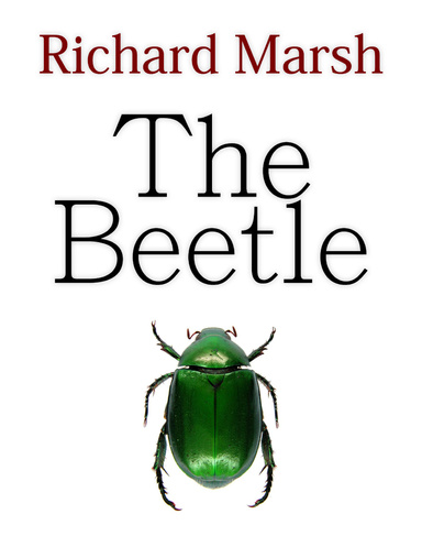 The Beetle