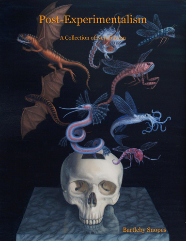 Post-Experimentalism