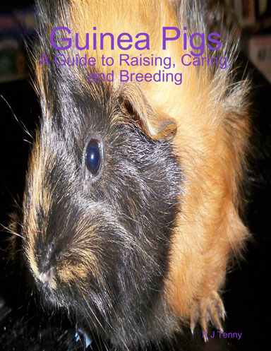 Guinea Pigs: A Guide to Raising, Caring, and Breeding