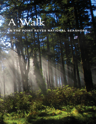 A Walk: In the Point Reyes National Seashore