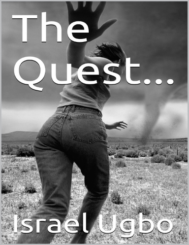The Quest...