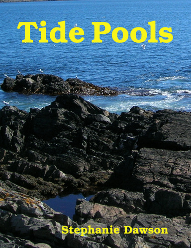 Tide Pools